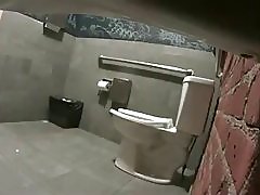 Salon WC voajer po loyalsock